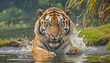 Amazing and powerful Tiger is in the Nature