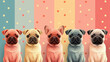 Group of pug dog  puppies sitting in a row