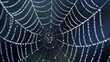 © Ibad - Cobweb or spiderweb natural rain pattern background close-up. Cobweb with drops of rain pattern in blue light. Cobweb net texture with morning rain bokeh. Partial blur view lines spider web necklace