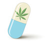 Cannabis Blatt in Medizin Kapsel,
Vektor Illustration isoliert auf weißem Hintergrund
