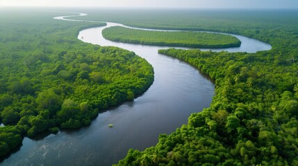 Poster - Breathtaking aerial view of a winding river through lush forests, showcasing the beauty of untouched landscapes