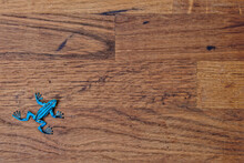 Blue Toy Toad On A Dark Wooden Surface, In The Corner. Top Down View Over A Rustic Dark Wood Banner Background With Copy Space, Presentation Or Advertising Concept.