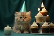 a cat wearing a party hat next to cupcakes