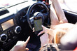 © Wavebreak Media - A person is using a smartphone for navigation in a car on a road trip
