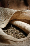 Fototapeta Lawenda - A sack of coffee beans