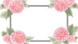 Hand drawing floral illustration isolated on a white background. Watercolor frame of blush rose flowers. 