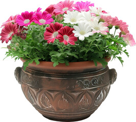 Wall Mural - Potted flower plant isolated on transparent background. PNG