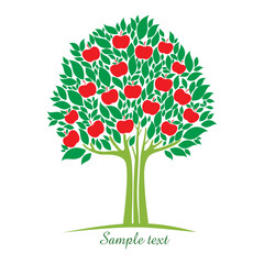 apple tree with red apples isolated on white background. vector illustration