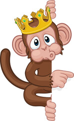 Wall Mural - A king monkey cartoon character animal wearing a crown behind a sign peeking around and pointing at it