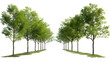 © john - Outside trees landscaped shapes cutout backgrounds 3d render png
