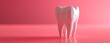 A small model tooth is presented on a pink-based background, embodying a simple style.