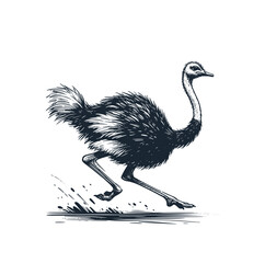 Wall Mural - The running ostrich. Rough sketch. Vector illustration.