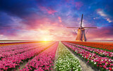 Fototapeta Tulipany - Windmill in Holland Michigan - An authentic wooden windmill from the Netherlands rises behind a field of tulips in Holland Michigan at Springtime. High quality photo. High quality photo