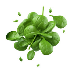 Wall Mural - Fresh spinach isolated on transparent or white background, png