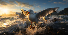 Seagulls On The Sea At Sunset. 3d Render,Seagulls On The Rocks At Sunset. Seascape.