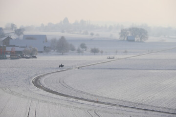 Wall Mural - a horserider in a snow landscape in rural Switzerland