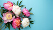Blossoming Peonies: A Vivid Display of Floral Beauty on Blue