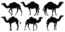 Black Walking Camel Silhouettes Vector