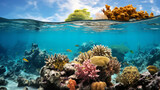 Fototapeta Do akwarium - An underwater view of a coral reef