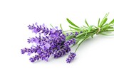 Fototapeta Lawenda - a bunch of lavender flowers on a white background