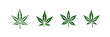 Marijuana leaf icon set. Vector illustration design.