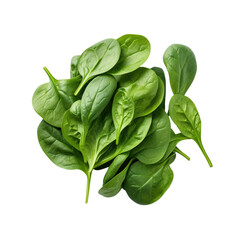 Sticker - Spinach on transparent background