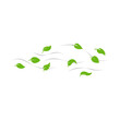 © P4ramours - Green leaves fly with the wind
