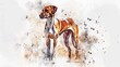 Graceful Harrier: Delicate Watercolor Portrait of a Majestic Dog