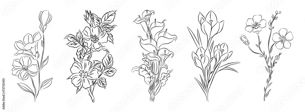 Set of wild, garden flowers, plants line art vector botanical ...