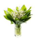 Fototapeta Na ścianę - May flowers. Bouqet of lily of the valley flowers on white background with clipping path
