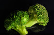Green broccoli with dark black background horizontally Brassica oleracea var italica