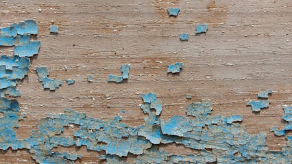 Wall Mural - Blue rough textured wood plank texture background