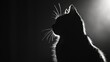 a black and white photo of a cat looking up at the light coming in from the back of the cat.