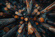 An overhead view of a pile of raw, unprocessed wooden logs, captured with a long exposure to create a sense of movement and dynamism in the image...