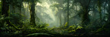 Fototapeta  - Enthralling Panoramic View of the Verdant Majesty: Untouched Rainforest Ecosystem