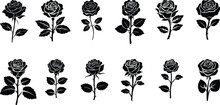 Set Of Vector Black Silhouettes Of Rose Flowers Isolated On A White Background
