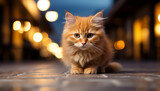 Fototapeta Most - Cute kitten sitting, looking at camera, playful and fluffy generated by AI
