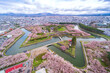 full bloom Japanes Cherry blossoms in Goryokaku Castle or Hakodate Castle as star shaped fort, Hokkaido, Japan  - View from the observatory of Goryokaku Tower.