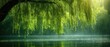 peaceful green nature landscape, view from under willow tree shade at riverside with sunlight, Generative Ai
