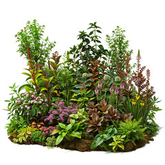 Wall Mural - plant and flower garden PNG transparent background 