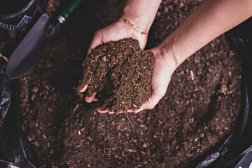 dirty woman hands holding dark moist soil. agriculture, organic gardening, planting or ecology conce