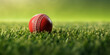 The Spirit of Cricket  ,Cricket World Cup playground cricket ball cricketer