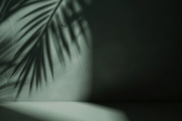 Wall Mural - Shadow of palm leaves on dark green wall