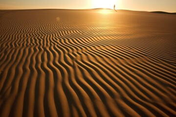 Wall Mural - the sun casting long shadows on the sand