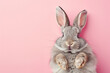 Cute grey rabbit lying on back on pink background, fluffy ears, playful posture, animal antics, bunny paws up, adorable pet, whiskers detail, comical position, close-up shot, space for text.