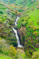 Wall Mural - Yehudiya waterfall and valley, the Golan Heights