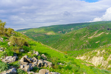 Wall Mural - Landscape of the southern part of the Golan Heights