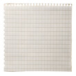 © shital - ripped paper note memo grid white scrapbook isolated on transparent background