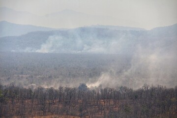 Burning forests for agricultural purposes results in the generation of PM 2.5.