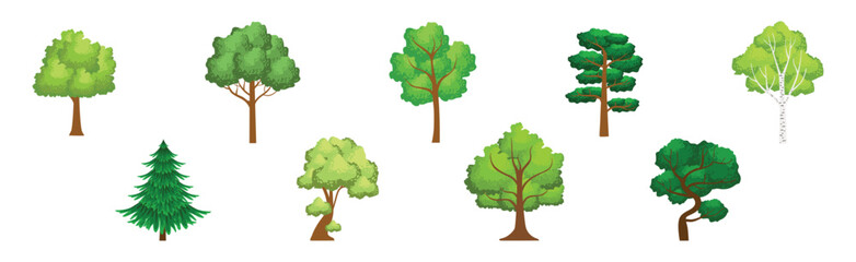 Sticker - Green Forest Trees with Exuberant Tree Crown Vector Set